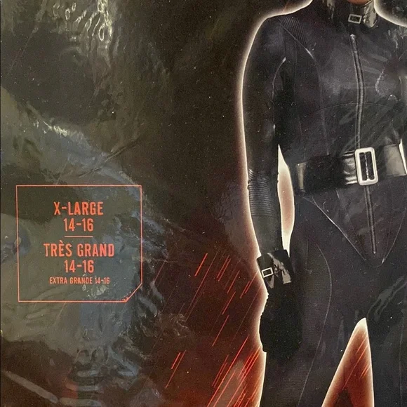 Catwoman Halloween Costume - Picture 3 of 5